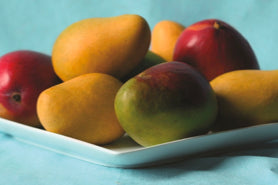 Live Healthy America, Part II